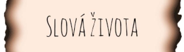 PhotoEditor_20190903_201809178