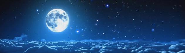 RONI GERTO (20.07.2016)